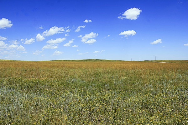 grasslands near panorama point at panorama point nebraska