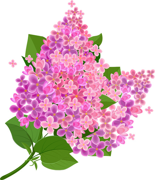 gree leaf with pink flower background vector