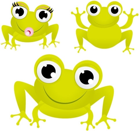 green frog with big eyes vector