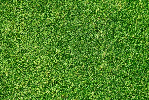 green grass 01 hd picture 