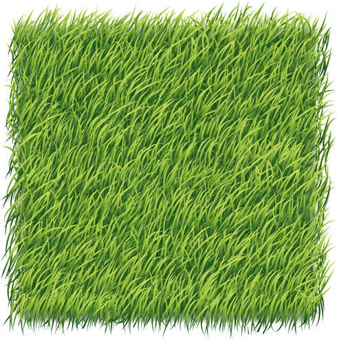 green grass art backgrounds vector