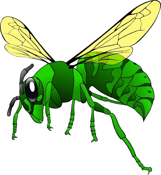 Green Hornet clip art