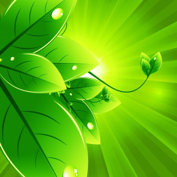 green leaf background 04 vector