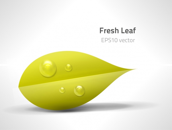 ecology background wet fresh leaf sketch modern design