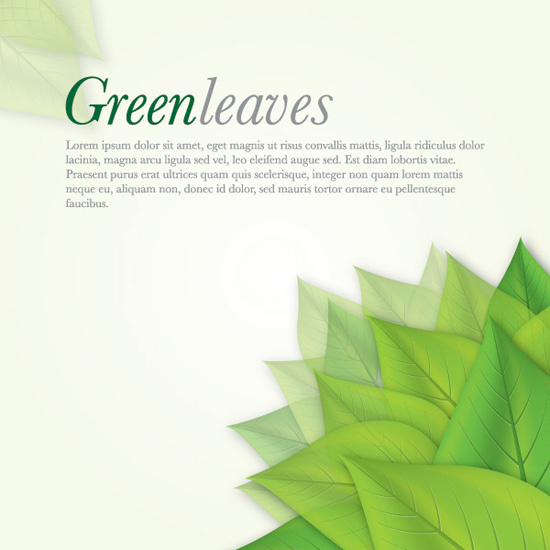 green leaves vector background