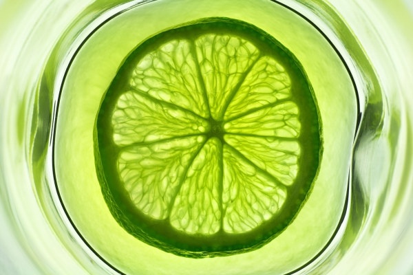 green lemon slices highdefinition picture 2