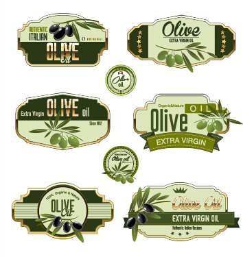 green olive oil labels set vector