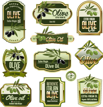 green olive oil labels set vector