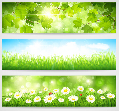 green spring leaves banners set vector