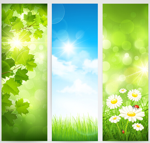 green spring leaves banners set vector