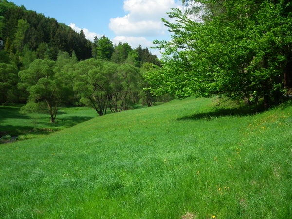 green valley ore mountains grass
