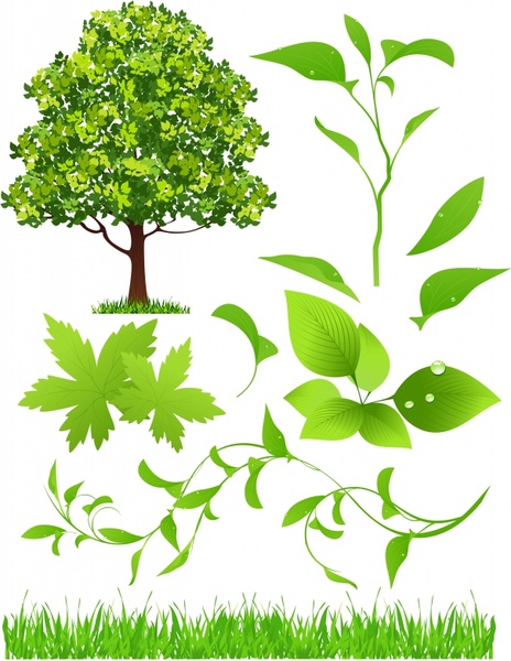 ecological design elements green leaf tree grass sketch