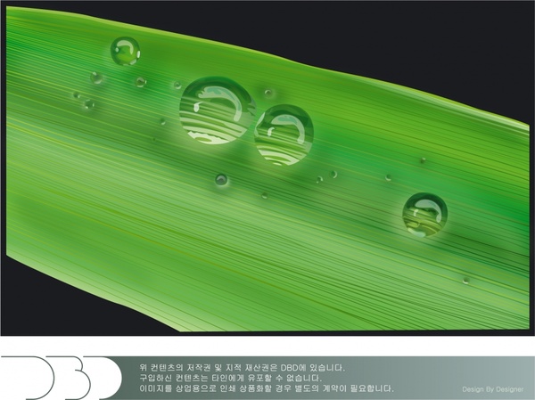 green water drops vector