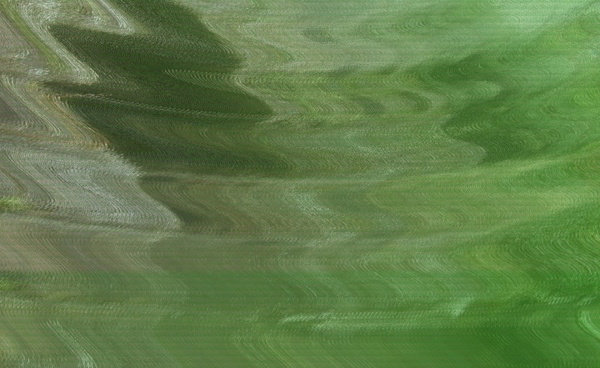 green waves 