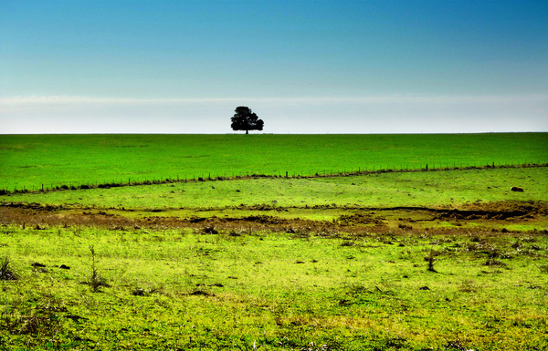 greener pastures