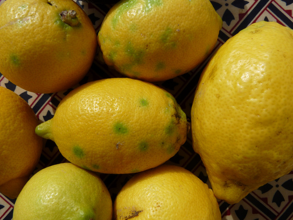 greenspot lemons 02 