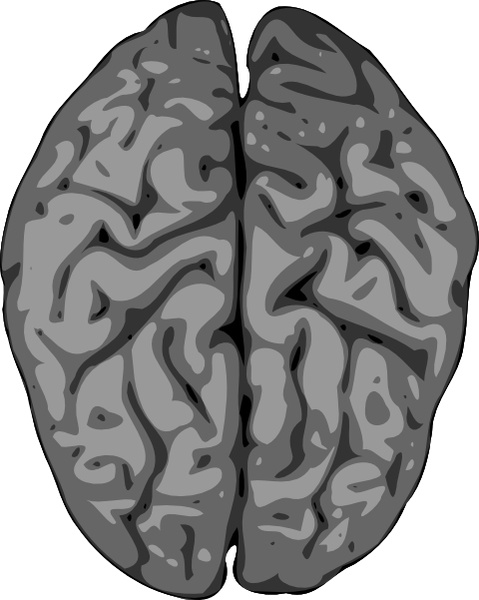 Grey Brain clip art