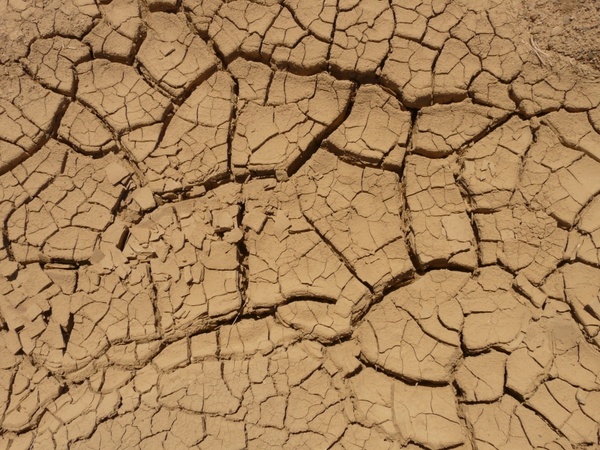 ground dry parched