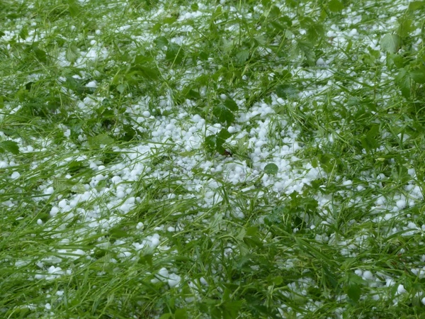 hailstones hail storm