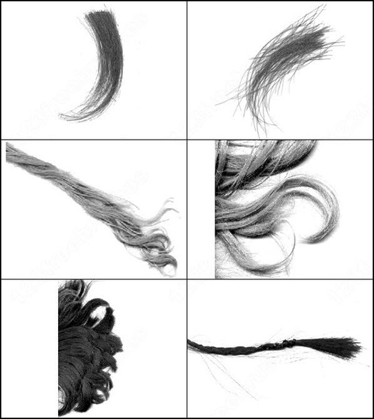 Hair brushes photoshop ps brushes free download 2,416 .abr files
