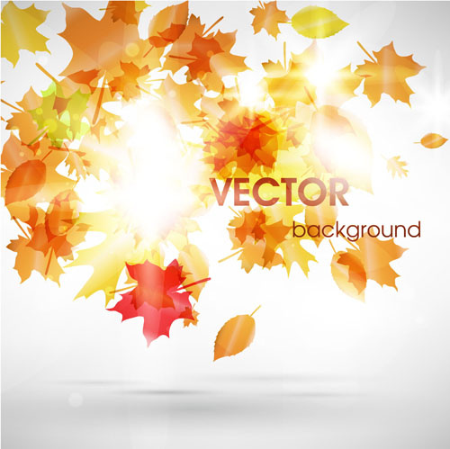 halation autumn leaves art background vector