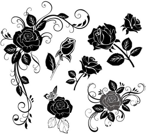 hand draw flower vector