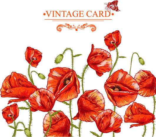 hand drawing poppies vintage card vector