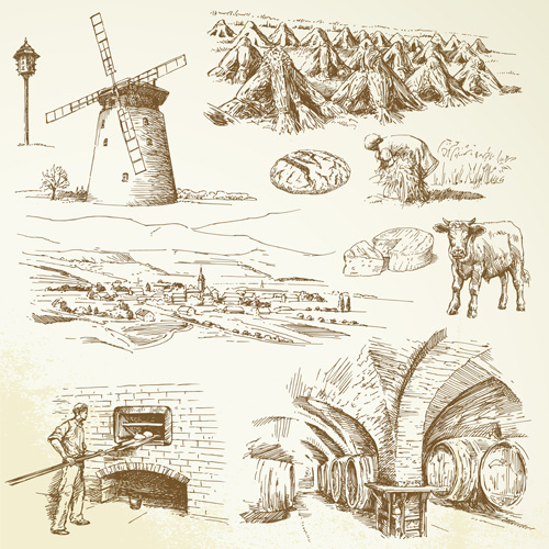 hand drawn agriculture elements vector
