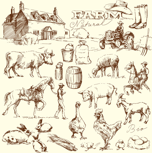 hand drawn agriculture with farm vectors