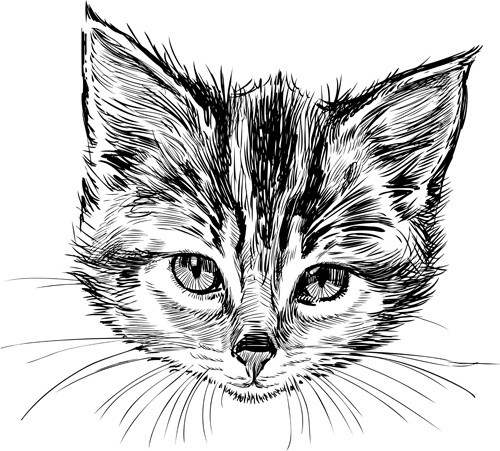 hand drawn cats head vector set 