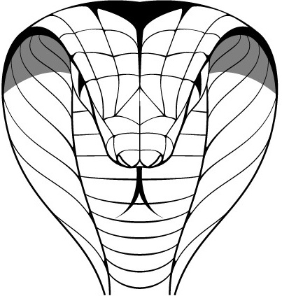 hand drawn cobra design vector 