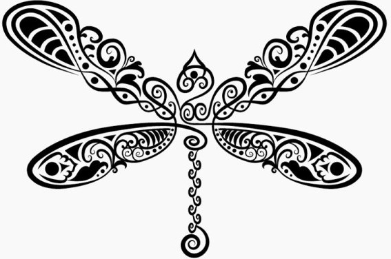 hand drawn dragonfly decoration pattern vector