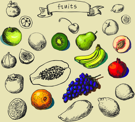 hand drawn fruit creative vector