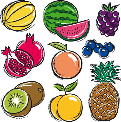hand drawn fruits graphics vector