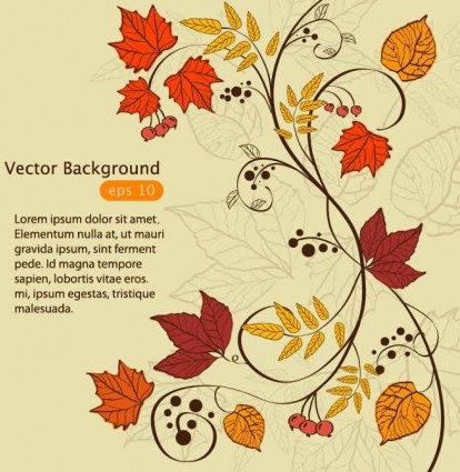 hand drawn maple leaf vintage background vector