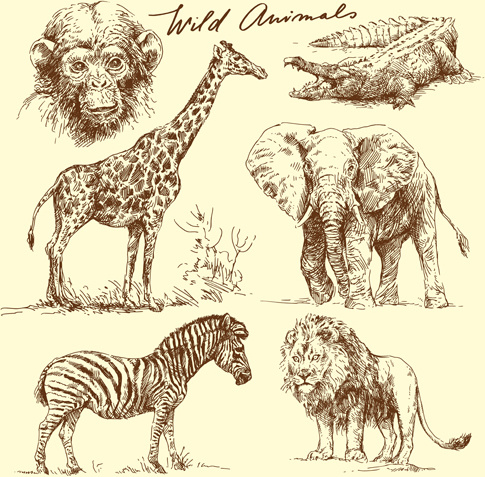 hand drawn wild animal design vectors 