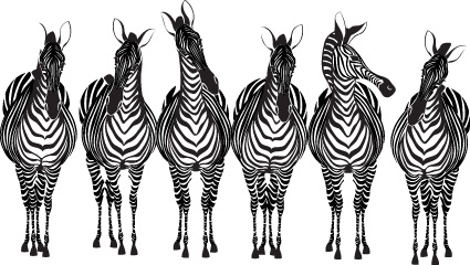 hand drawn zebra and giraffe design vector