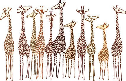 hand drawn zebra and giraffe design vector