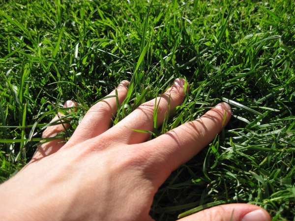 hand grass finger