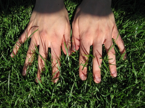 hand hands grass