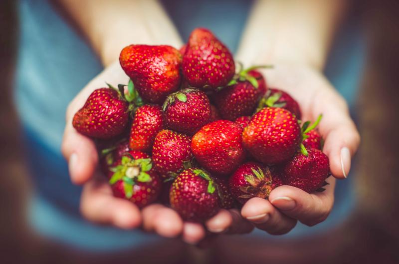 hand holding strawberries backdrop picture elegant closeup 