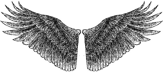 Free Free 135 Baby Angel Wings Svg Free SVG PNG EPS DXF File