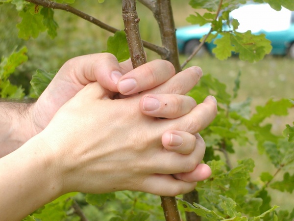 hands tree finger