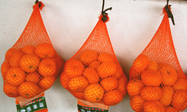 hanging oranges