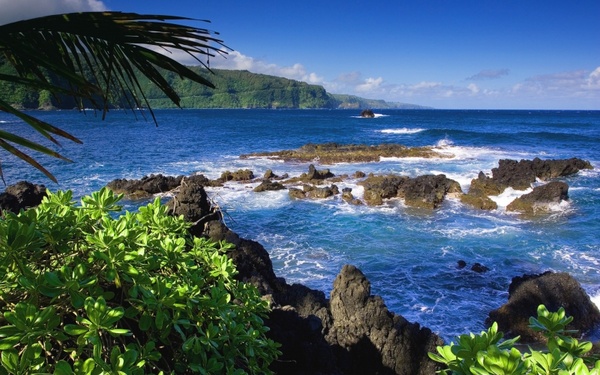 hawaii scenic ocean