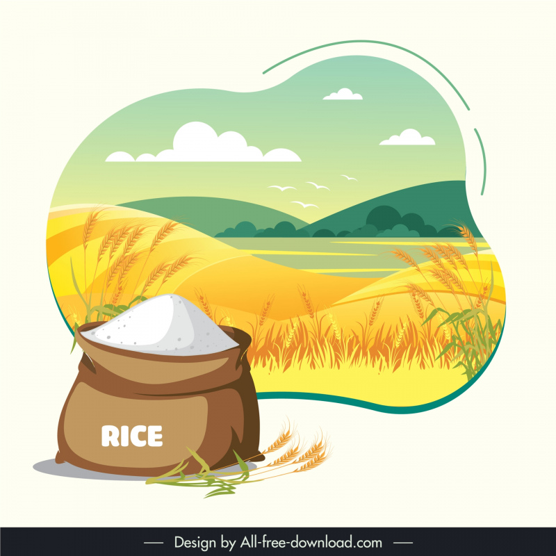 healthy food design elements paddy field rice