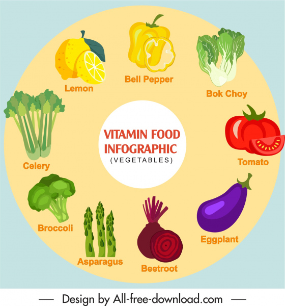 healthy vegetables infographic poster colorful flat handdrawn sketch
