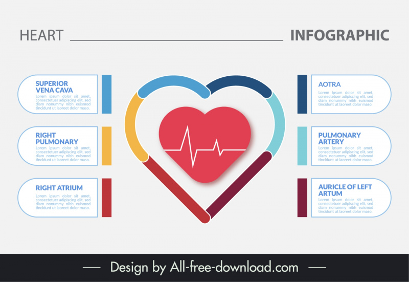 heart infographic design elements elegant flat cardiogram 