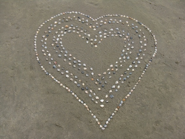 heart shell beach