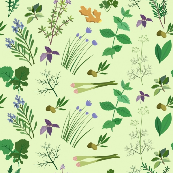 herbs background multicolored icon decoration repeating design